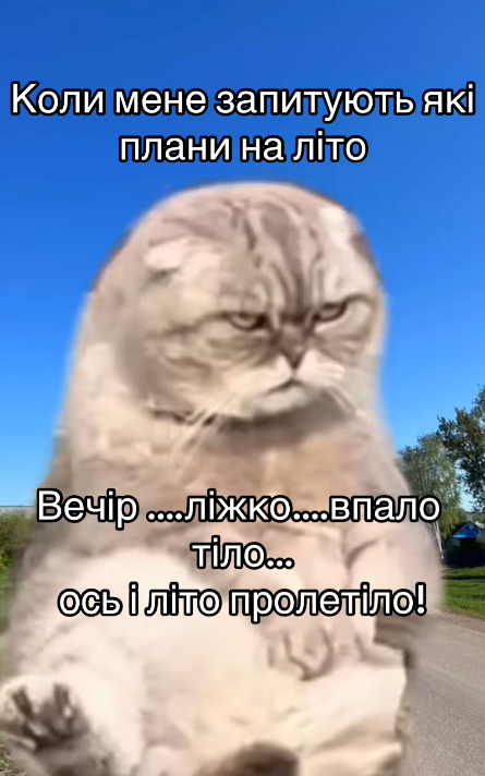 Жизненные мемы о лете: когда в мечтах отдых, а в планах только работа - фото 871241