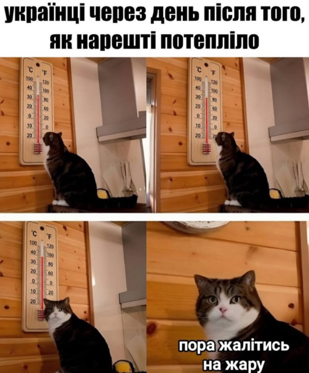 Жизненные мемы о лете: когда в мечтах отдых, а в планах только работа - фото 871245