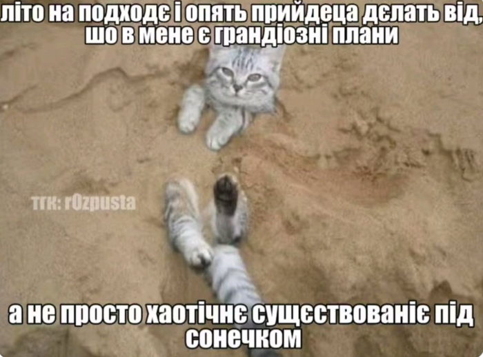 Жизненные мемы о лете: когда в мечтах отдых, а в планах только работа - фото 871246