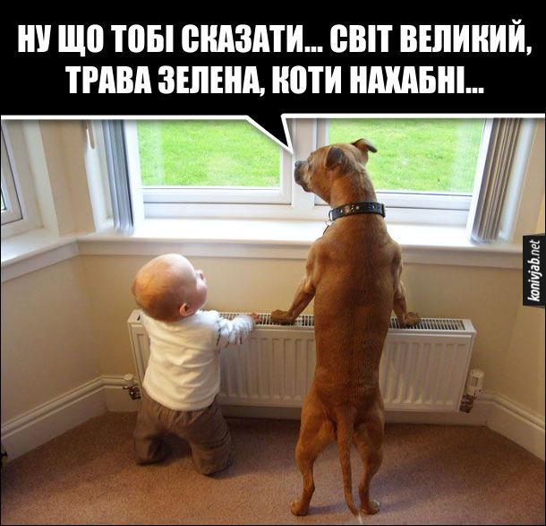 Меми про батьківство - фото 871300