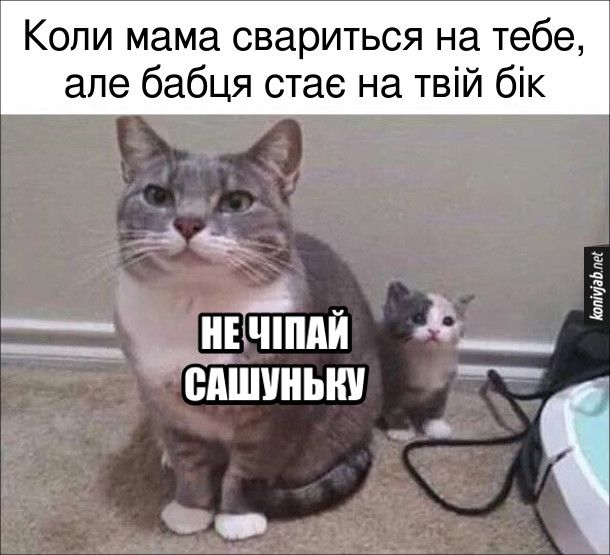 Меми про батьківство - фото 871305
