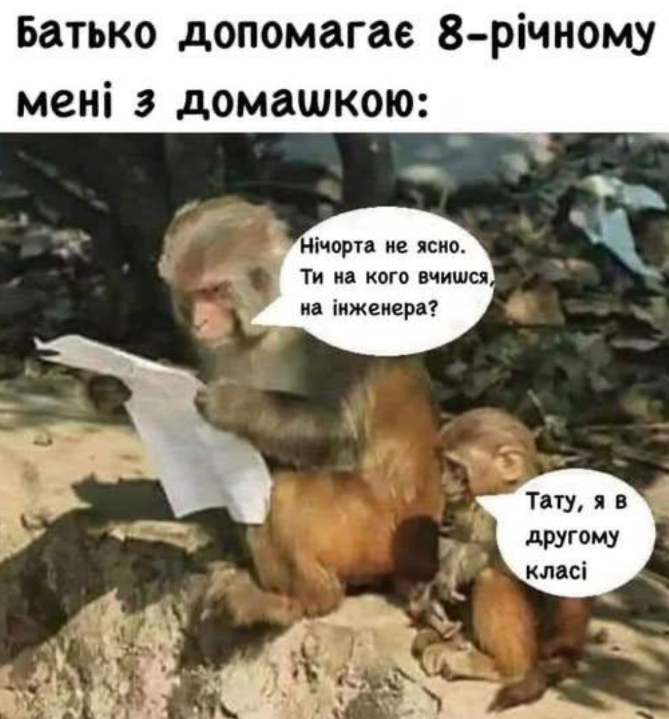Меми про батьківство - фото 871306