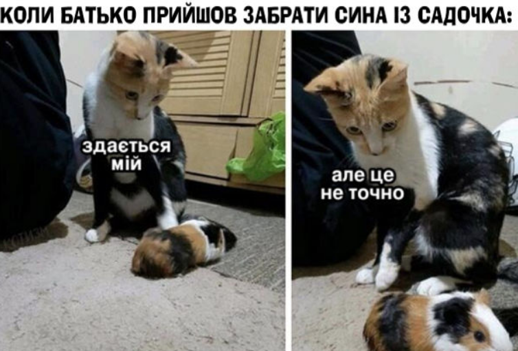 Меми про батьківство - фото 871309