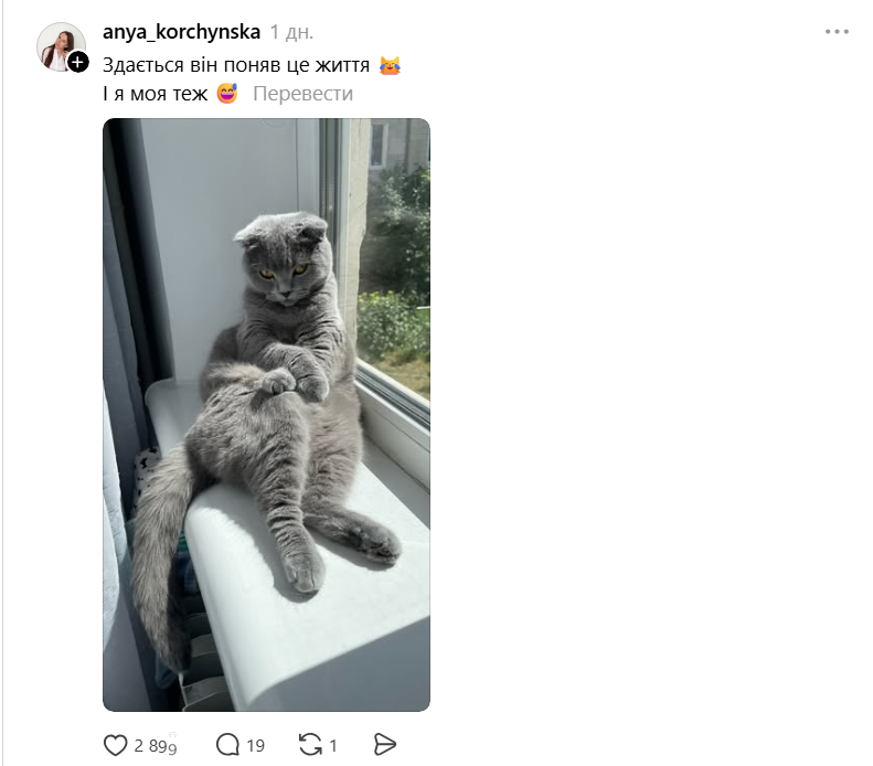 Threads показує своїх котусиків, які смішно сидять на дупках - 871424 Threads показує своїх котусиків, які смішно сидять на дупках - фото 871424