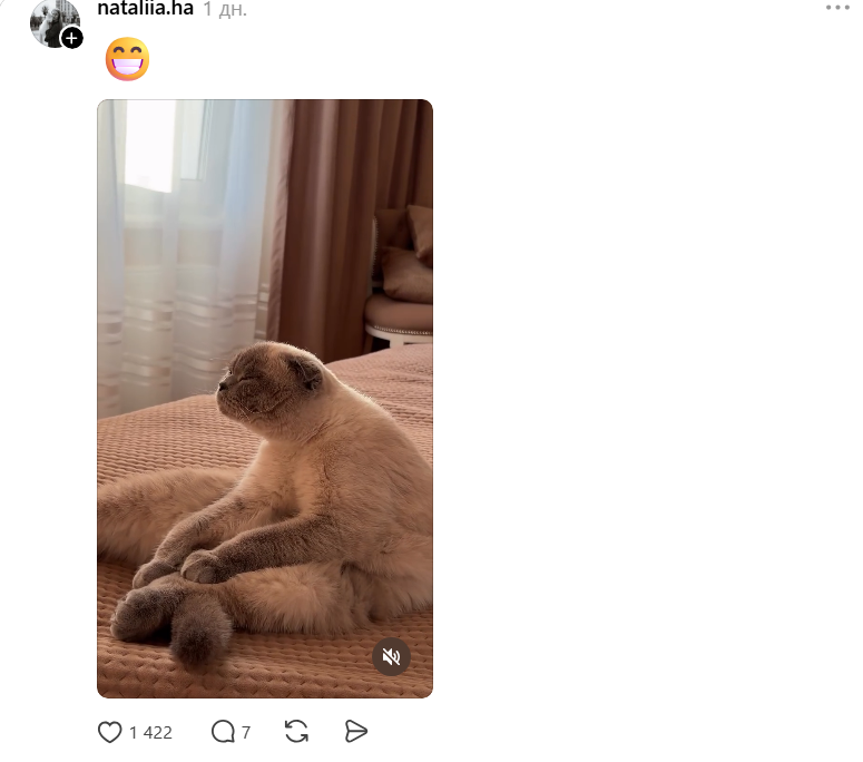 Threads показує своїх котусиків, які смішно сидять на дупках - 871425 Threads показує своїх котусиків, які смішно сидять на дупках - фото 871425