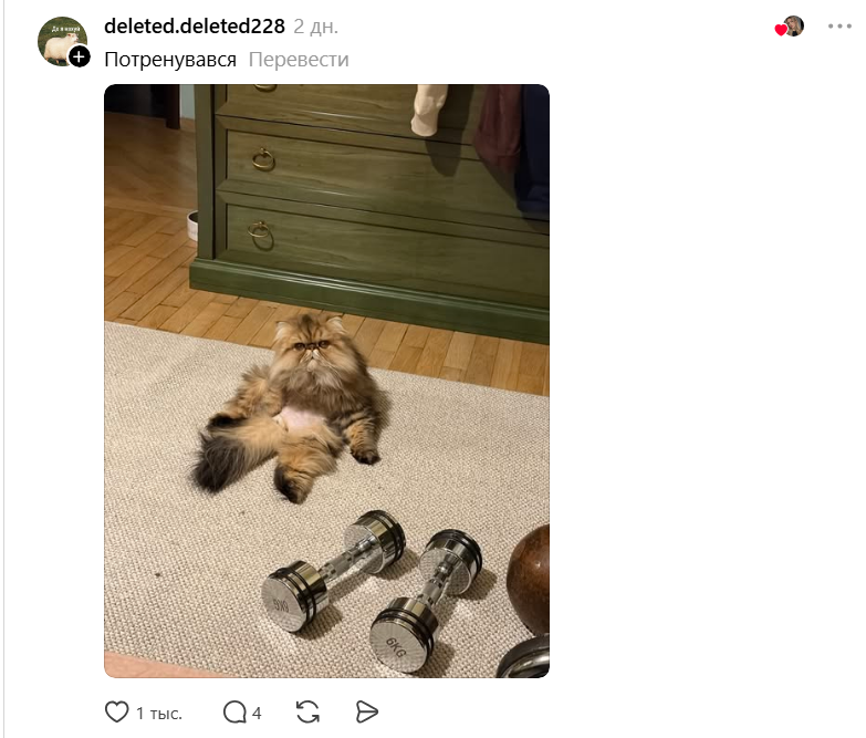 Threads показує своїх котусиків, які смішно сидять на дупках - 871426 Threads показує своїх котусиків, які смішно сидять на дупках - фото 871426
