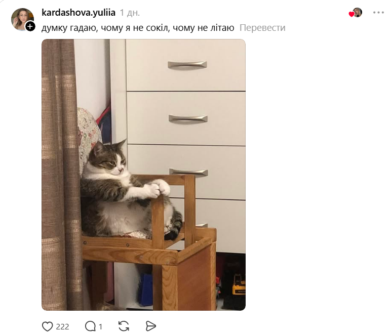 Threads показує своїх котусиків, які смішно сидять на дупках - 871427 Threads показує своїх котусиків, які смішно сидять на дупках - фото 871427