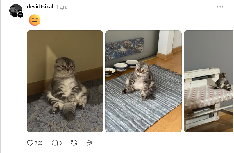 Threads показує своїх котусиків, які смішно сидять на дупках - 871428 Threads показує своїх котусиків, які смішно сидять на дупках - фото 871428
