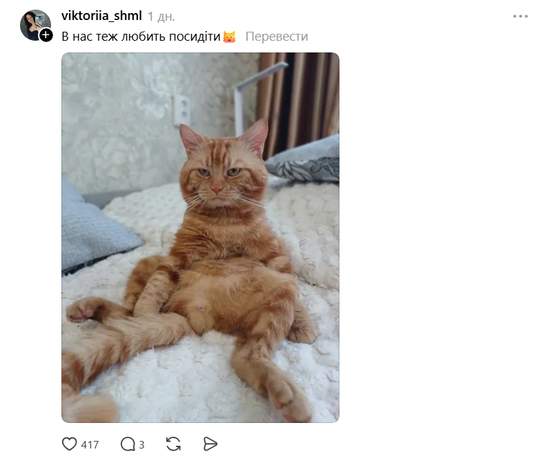 Threads показує своїх котусиків, які смішно сидять на дупках - 871429 Threads показує своїх котусиків, які смішно сидять на дупках - фото 871429