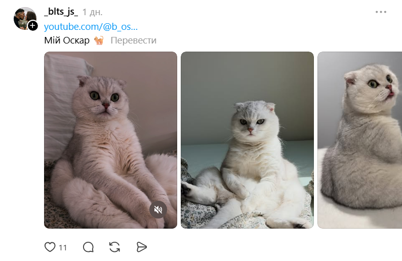 Threads показує своїх котусиків, які смішно сидять на дупках - 871430 Threads показує своїх котусиків, які смішно сидять на дупках - фото 871430