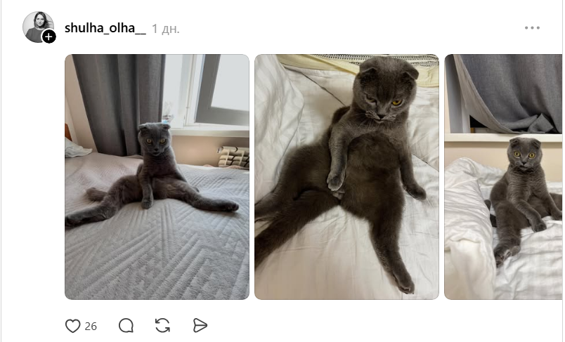 Threads показує своїх котусиків, які смішно сидять на дупках - 871433 Threads показує своїх котусиків, які смішно сидять на дупках - фото 871433