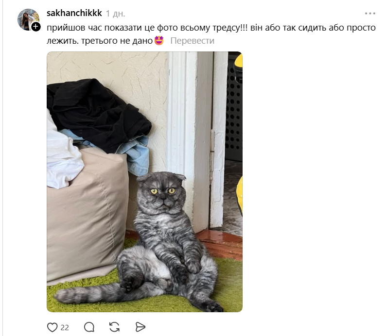 Threads показує своїх котусиків, які смішно сидять на дупках - 871434 Threads показує своїх котусиків, які смішно сидять на дупках - фото 871434