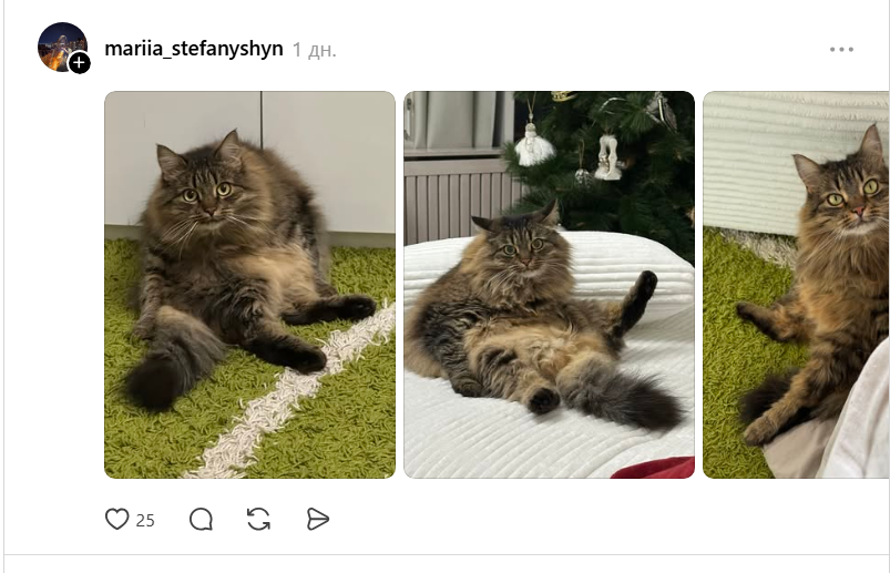 Threads показує своїх котусиків, які смішно сидять на дупках - 871437 Threads показує своїх котусиків, які смішно сидять на дупках - фото 871437