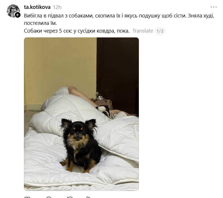 Жарти киян після нічної атаки - 872223 Жарти киян після нічної атаки - фото 872223