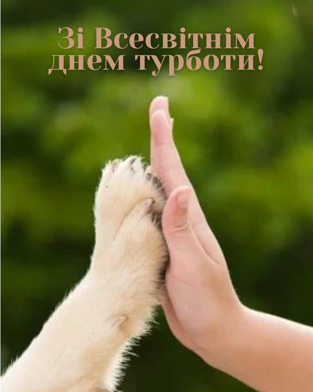 Тепло, которое спасает мир: душевные поздравления со Всемирным днем заботы и милые открытки - 872353 Тепло, которое спасает мир: душевные поздравления со Всемирным днем заботы и милые открытки - фото 872353