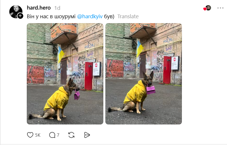 На Золотих воротах помітили песика з рожевою сумочкою - справжня київська модниця - 872690 На Золотих воротах помітили песика з рожевою сумочкою - справжня київська модниця - фото 872690