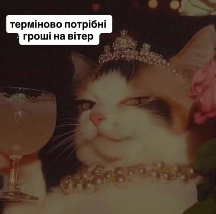 Как правильно просить деньги у мужчины — девушки показали в мемах - фото 873014
