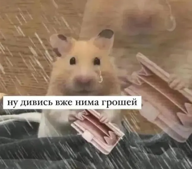 Как правильно просить деньги у мужчины — девушки показали в мемах - фото 873017