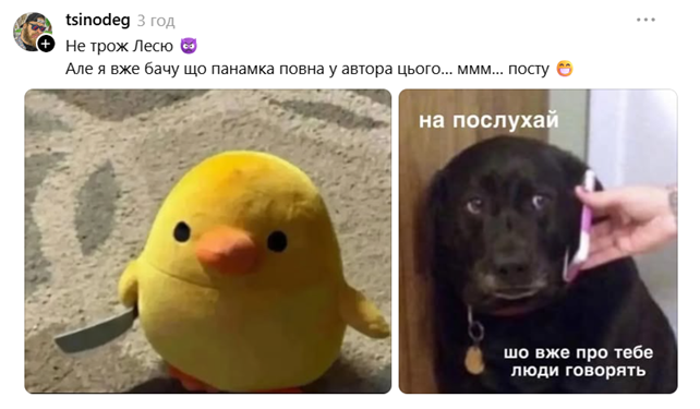 Леся Никитюк остроумно поставила на место хейтершу — юзеры тоже не смолчали - 873076 Леся Никитюк остроумно поставила на место хейтершу — юзеры тоже не смолчали - фото 873076