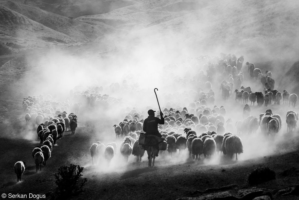 World Food Photography Awards 2026: обрано найкращі фуд-фото року - 873115 World Food Photography Awards 2026: обрано найкращі фуд-фото року - фото 873115