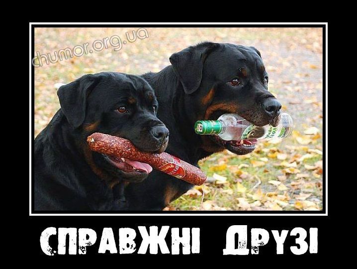 Мемы о дружбе, которые заставляют вспомнить, насколько ценны твои друзья - фото 874616