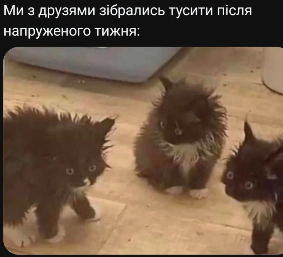 Мемы о дружбе, которые заставляют вспомнить, насколько ценны твои друзья - фото 874628