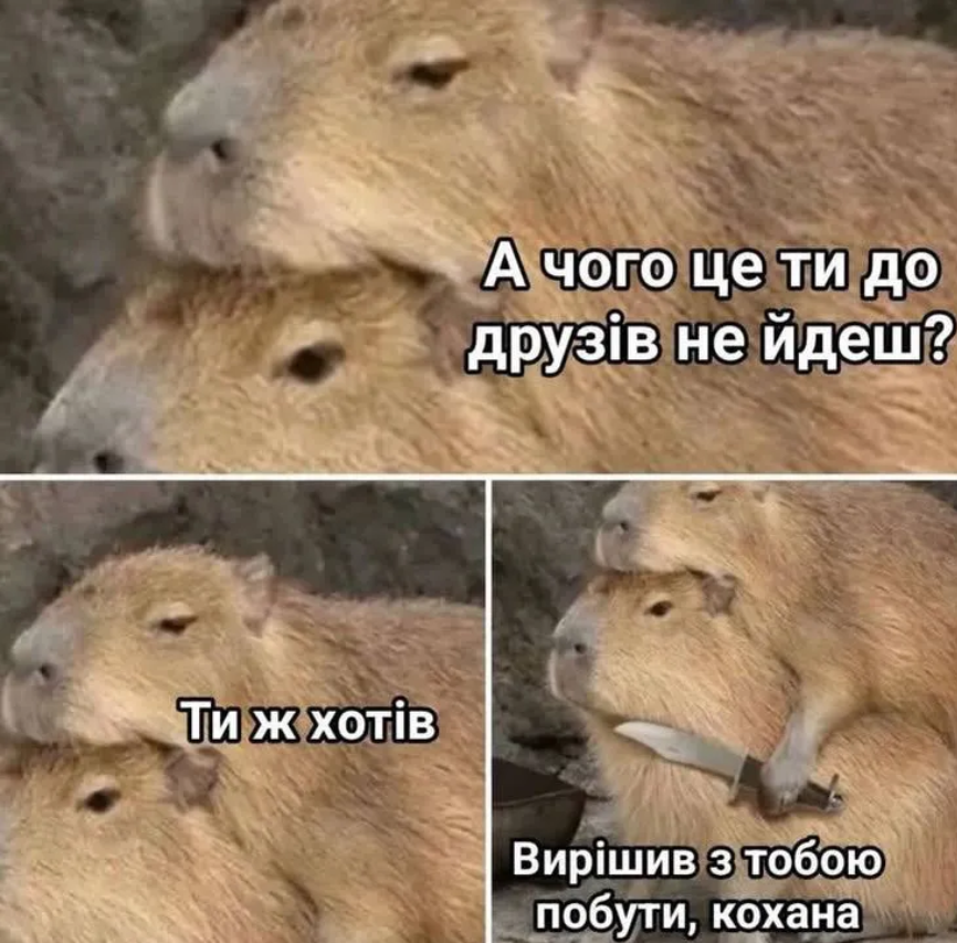 Мемы о дружбе, которые заставляют вспомнить, насколько ценны твои друзья - фото 874632