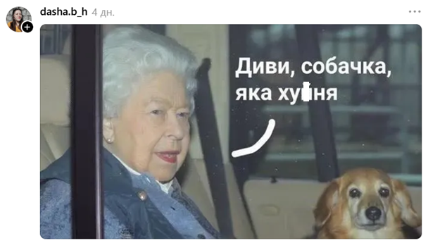 Коты в леггинсах покорили Threads — ты не сможешь это развидеть - 874905 Коты в леггинсах покорили Threads — ты не сможешь это развидеть - фото 874905