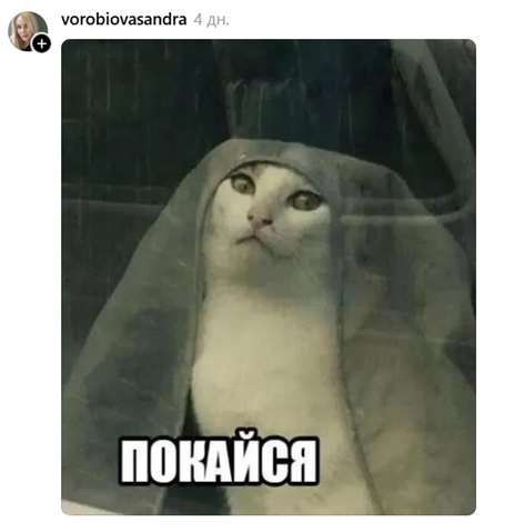 Коты в леггинсах покорили Threads — ты не сможешь это развидеть - 874908 Коты в леггинсах покорили Threads — ты не сможешь это развидеть - фото 874908