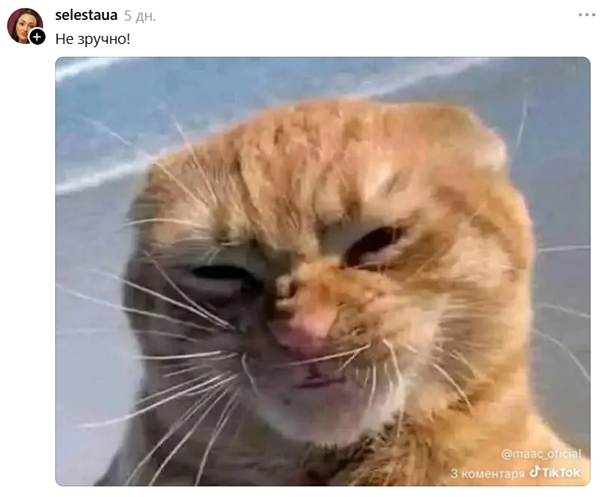 Коты в леггинсах покорили Threads — ты не сможешь это развидеть - 874909 Коты в леггинсах покорили Threads — ты не сможешь это развидеть - фото 874909