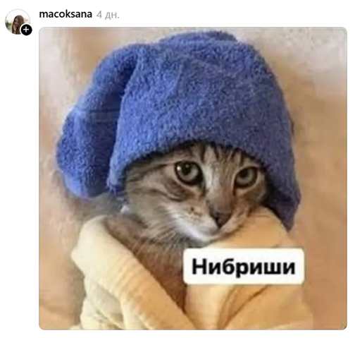Коты в леггинсах покорили Threads — ты не сможешь это развидеть - 874911 Коты в леггинсах покорили Threads — ты не сможешь это развидеть - фото 874911