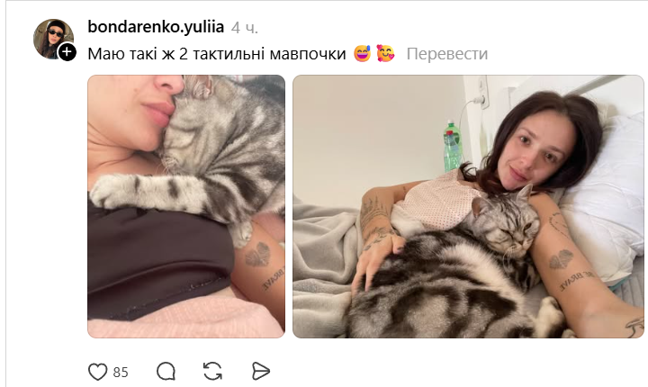 Домашние животные, которые искренне не понимают, что такое личное пространство - 875156 Домашние животные, которые искренне не понимают, что такое личное пространство - фото 875156