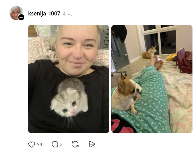 Домашние животные, которые искренне не понимают, что такое личное пространство - 875160 Домашние животные, которые искренне не понимают, что такое личное пространство - фото 875160