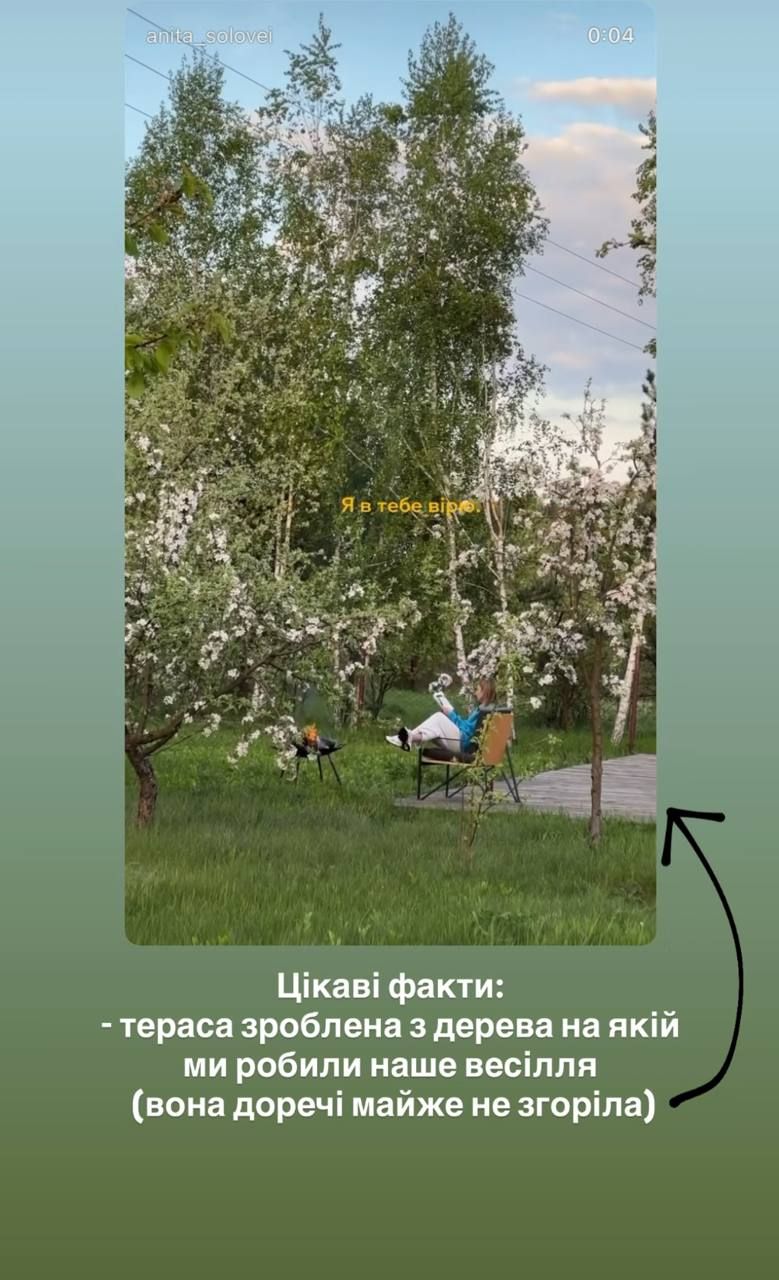 У подруги Анни Трінчер згорів вщент будинок під Києвом: фото - 876747 У подруги Анни Трінчер згорів вщент будинок під Києвом: фото - фото 876747