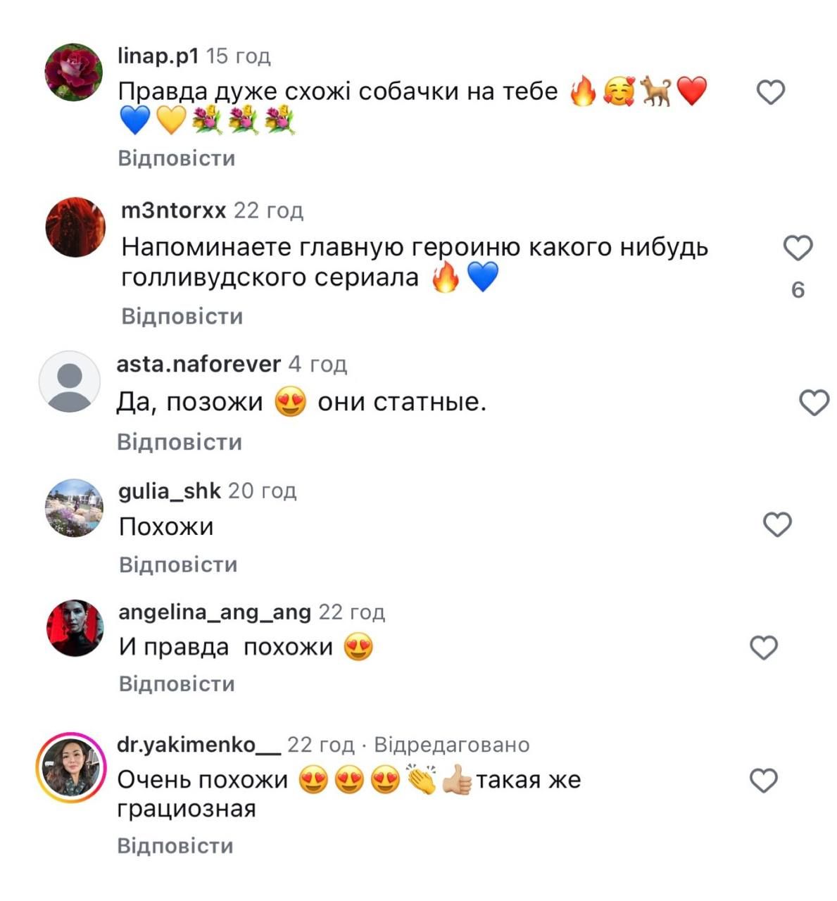 Нашла своего двойника в мире животных: Светлана Лобода удивила пользователей сети невероятным сходством с редкой породой собак - фото 877031