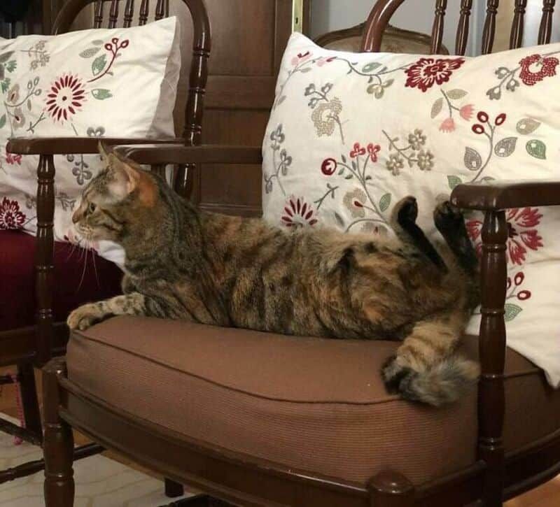 30 фотографий, которые выглядят фейковыми — но это реальность - фото 878212