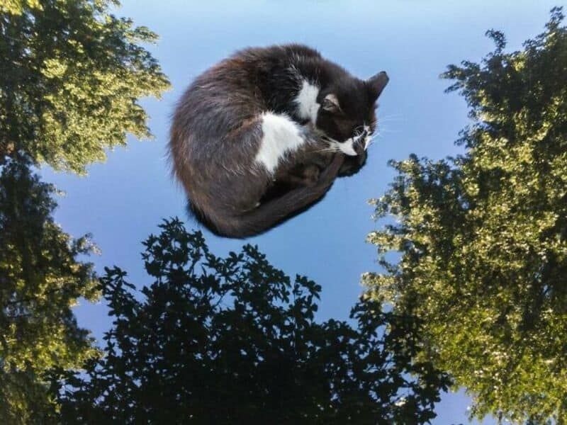 30 фотографий, которые выглядят фейковыми — но это реальность - фото 878213