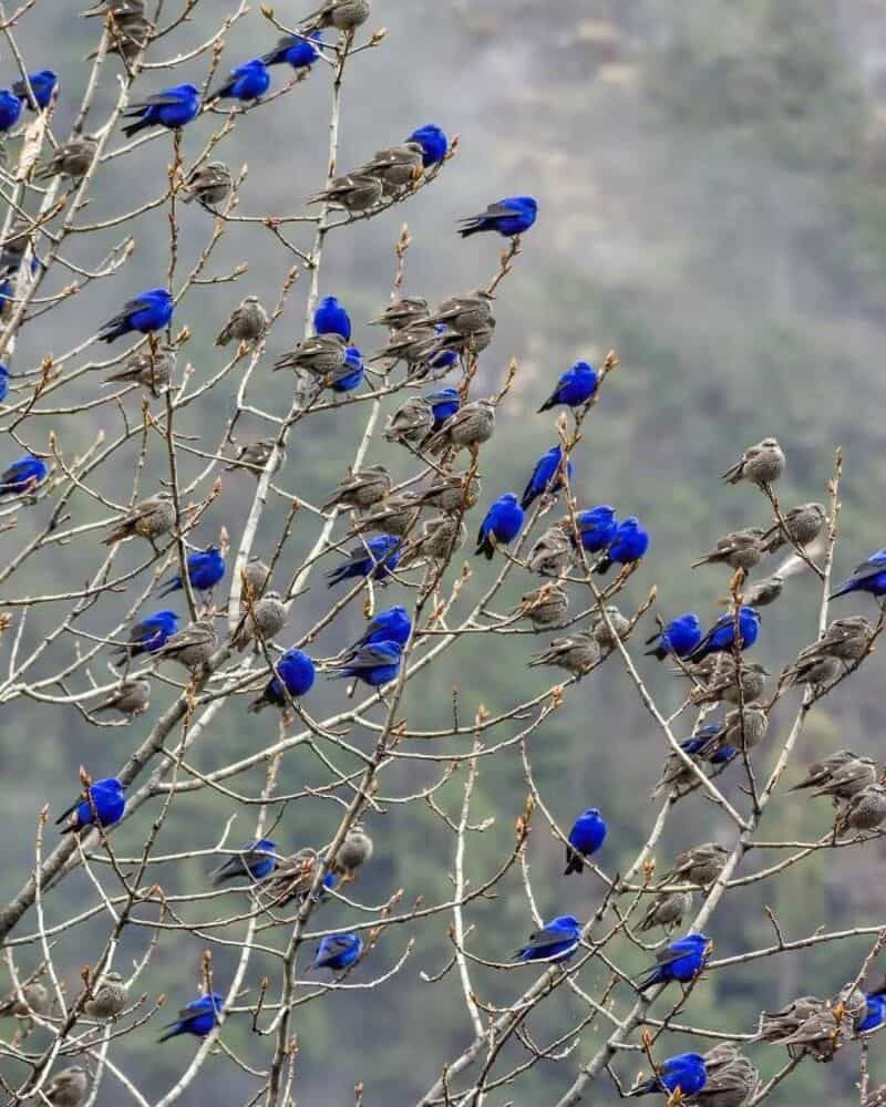 30 фотографий, которые выглядят фейковыми — но это реальность - фото 878214
