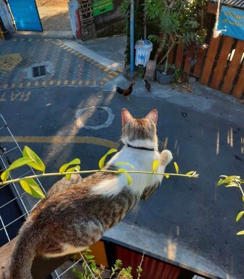 30 фотографий, которые выглядят фейковыми — но это реальность - фото 878216