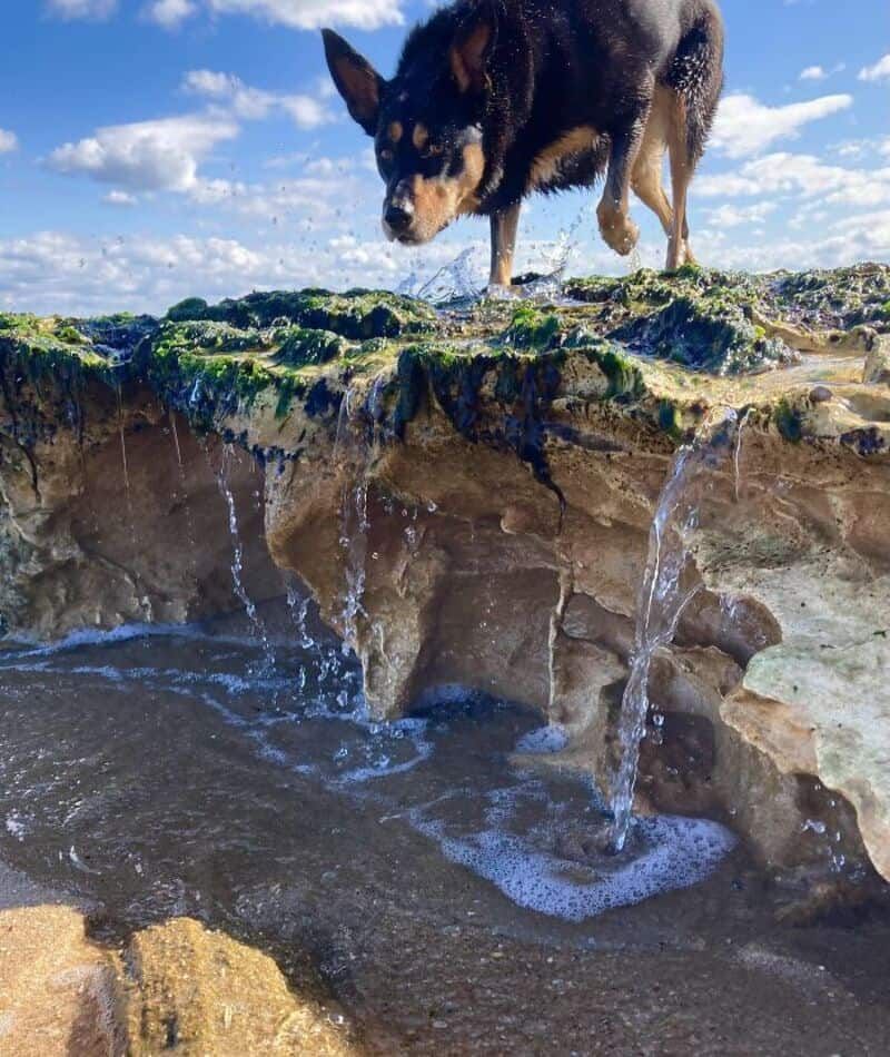 30 фотографий, которые выглядят фейковыми — но это реальность - фото 878234