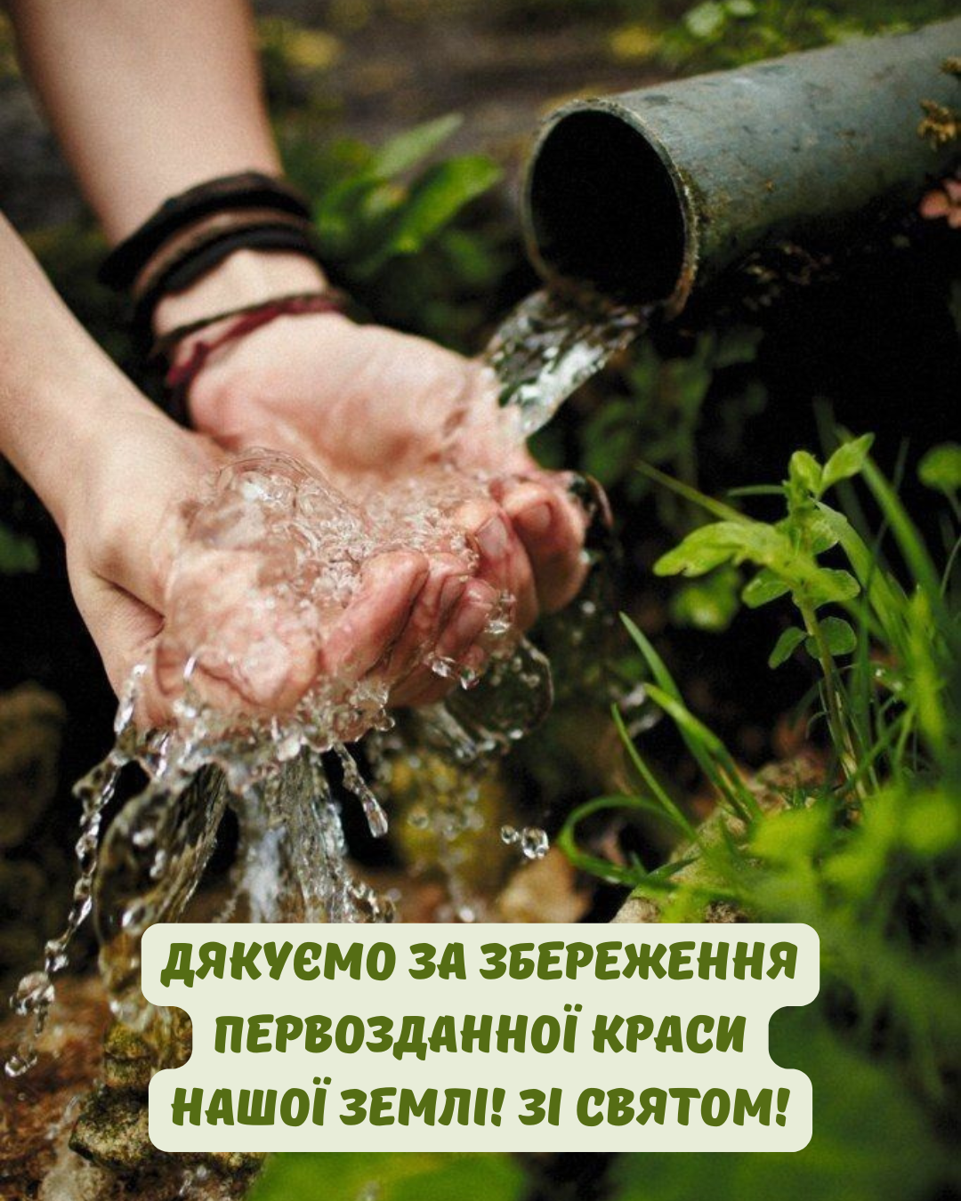 День работника природоохранной деятельности: лучшие поздравления для защитников природы - фото 879452