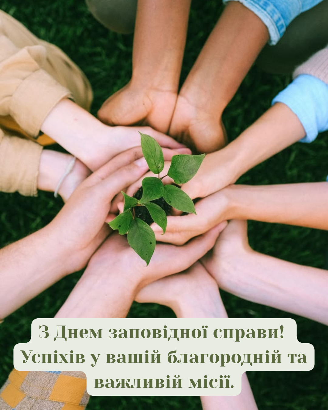 День работника природоохранной деятельности: лучшие поздравления для защитников природы - фото 879453