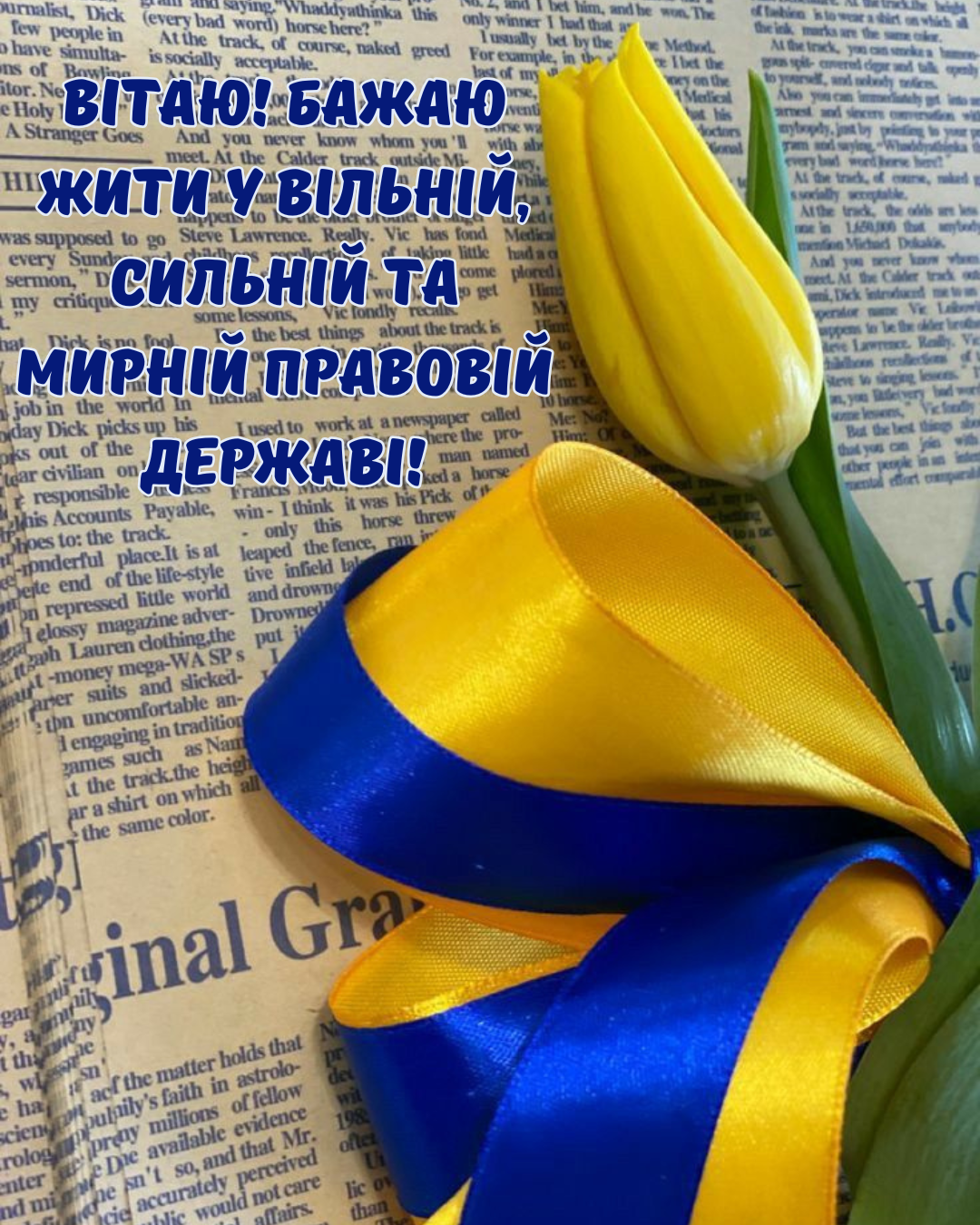 листівки з Днем Конституції України скачати - фото 879871