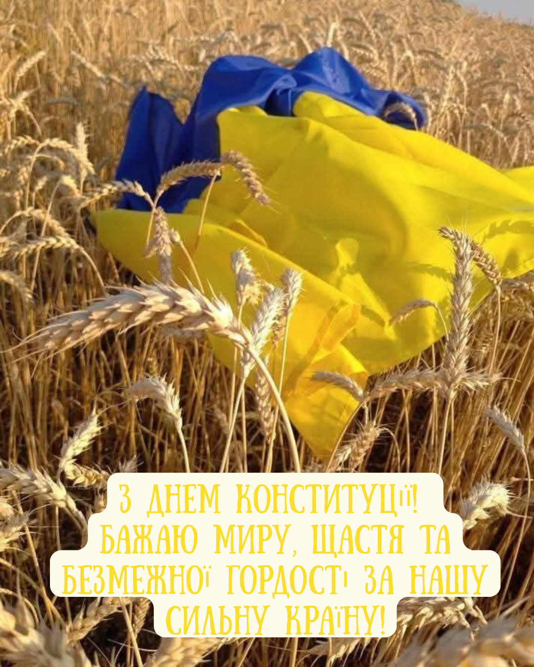 С Днём Конституции 2026: красивые картинки, которыми захочется поделиться - 879896 С Днём Конституции 2026: красивые картинки, которыми захочется поделиться - фото 879896