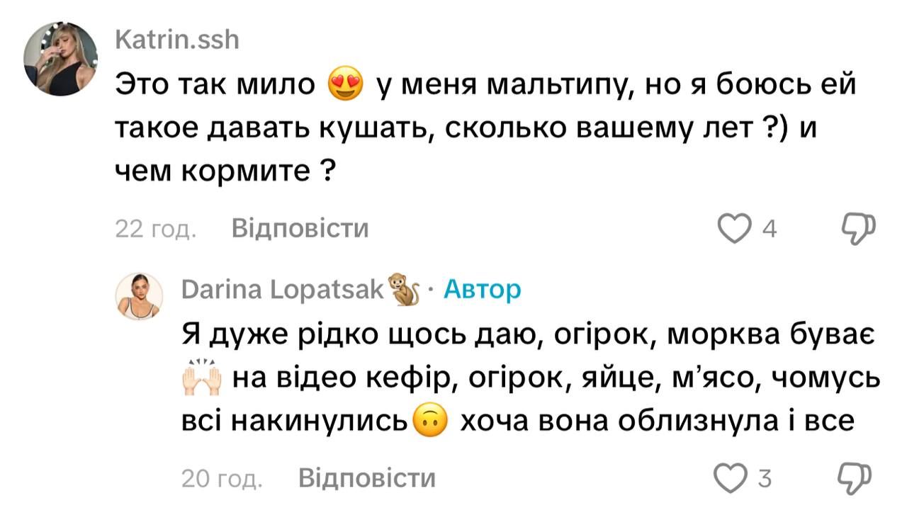 Известная блогерша покормила собаку из тарелки в ресторане и вызвала возмущение в сети - фото 880618