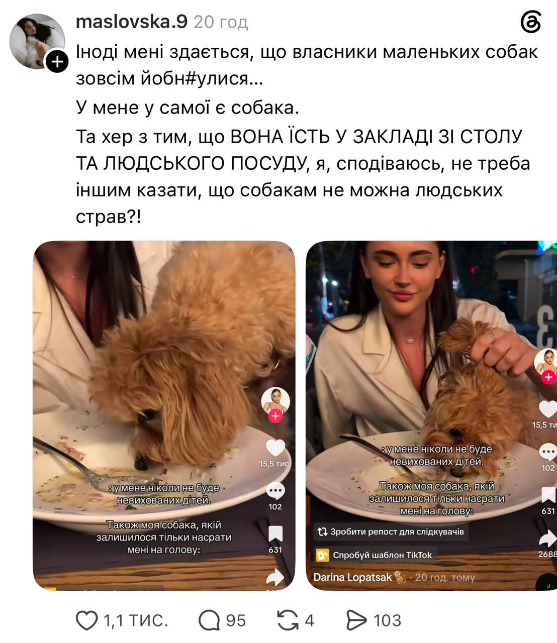 Известная блогерша покормила собаку из тарелки в ресторане и вызвала возмущение в сети - фото 880620