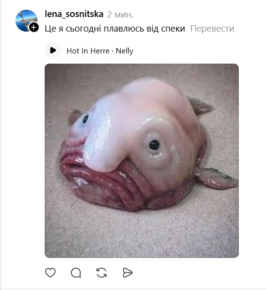 Задача — как-то выжить: мемы о жаре, которая обрушилась на всех нас - фото 881415