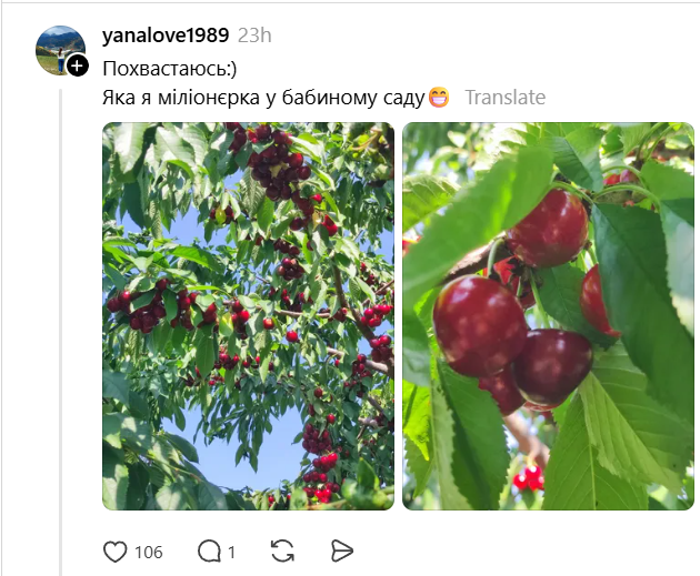 Одна черешня – 15 гривен: в сети бурно обсуждают шокирующие цены на ягоды - 882890 Одна черешня – 15 гривен: в сети бурно обсуждают шокирующие цены на ягоды - фото 882890