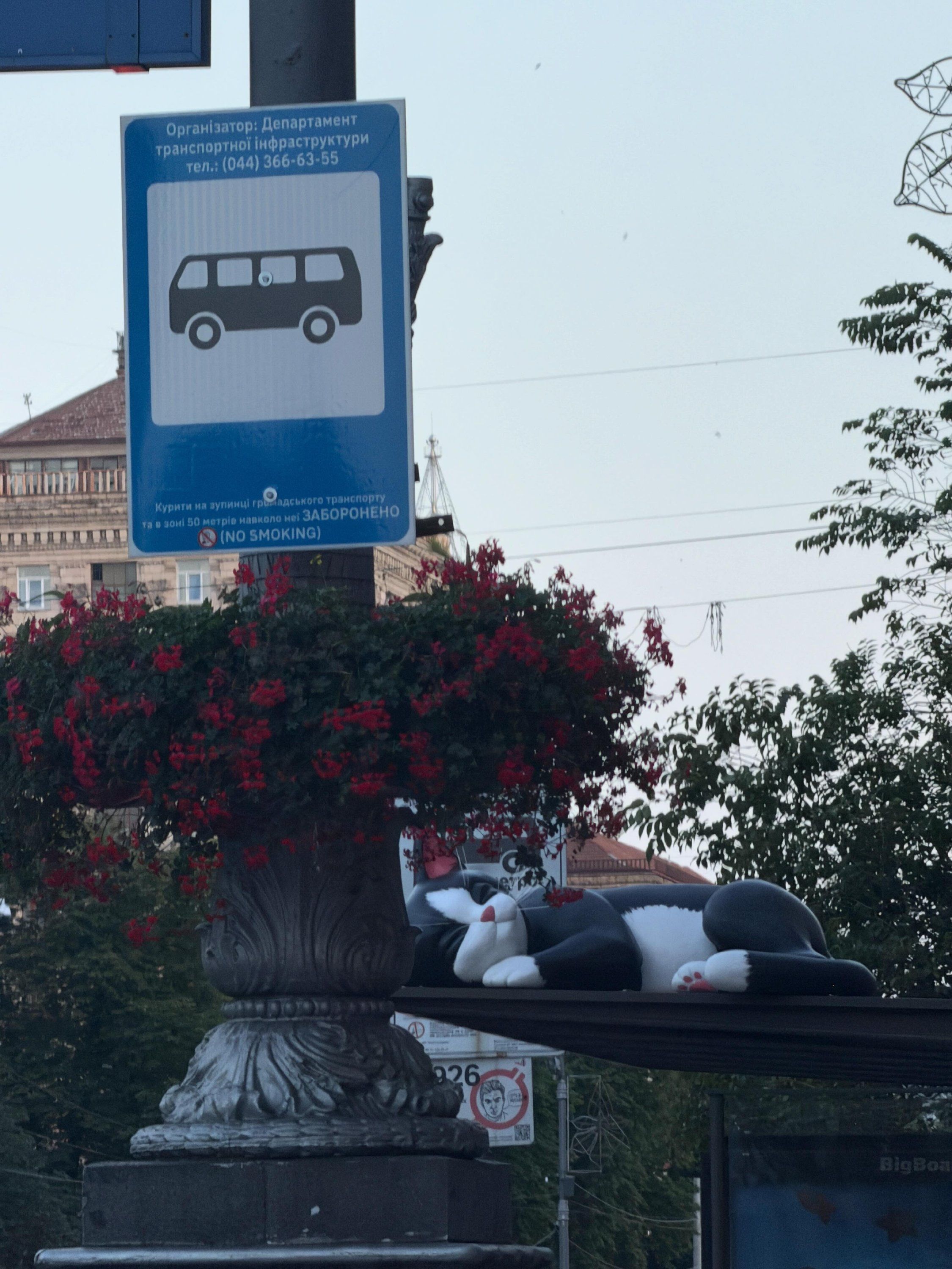 Реклама кошачьего корма вызвала восторг в сети – мимо этой инсталляции невозможно пройти без улыбки - 883094 Реклама кошачьего корма вызвала восторг в сети – мимо этой инсталляции невозможно пройти без улыбки - фото 883094