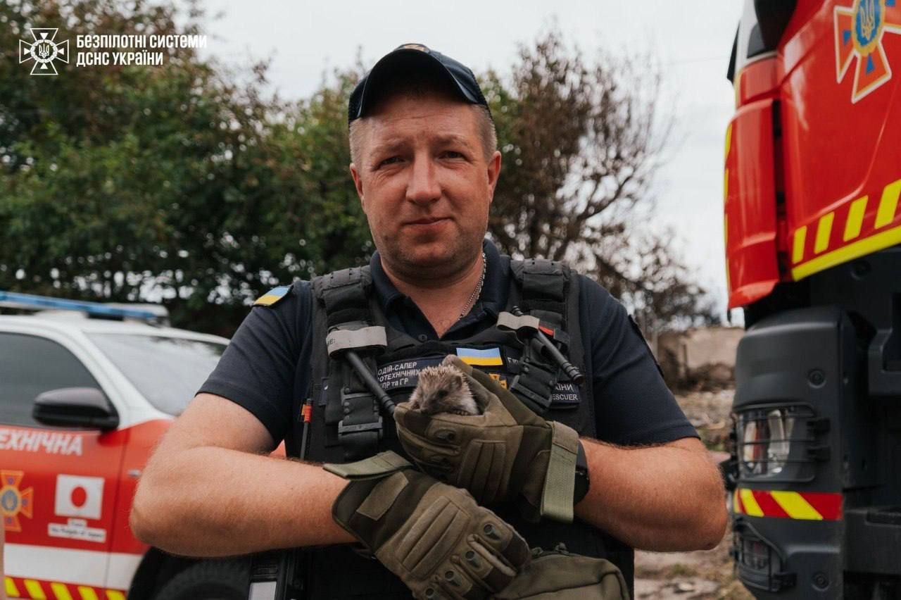 У Вишневому рятувальники знайшли під завалами їжачка - фото 885269
